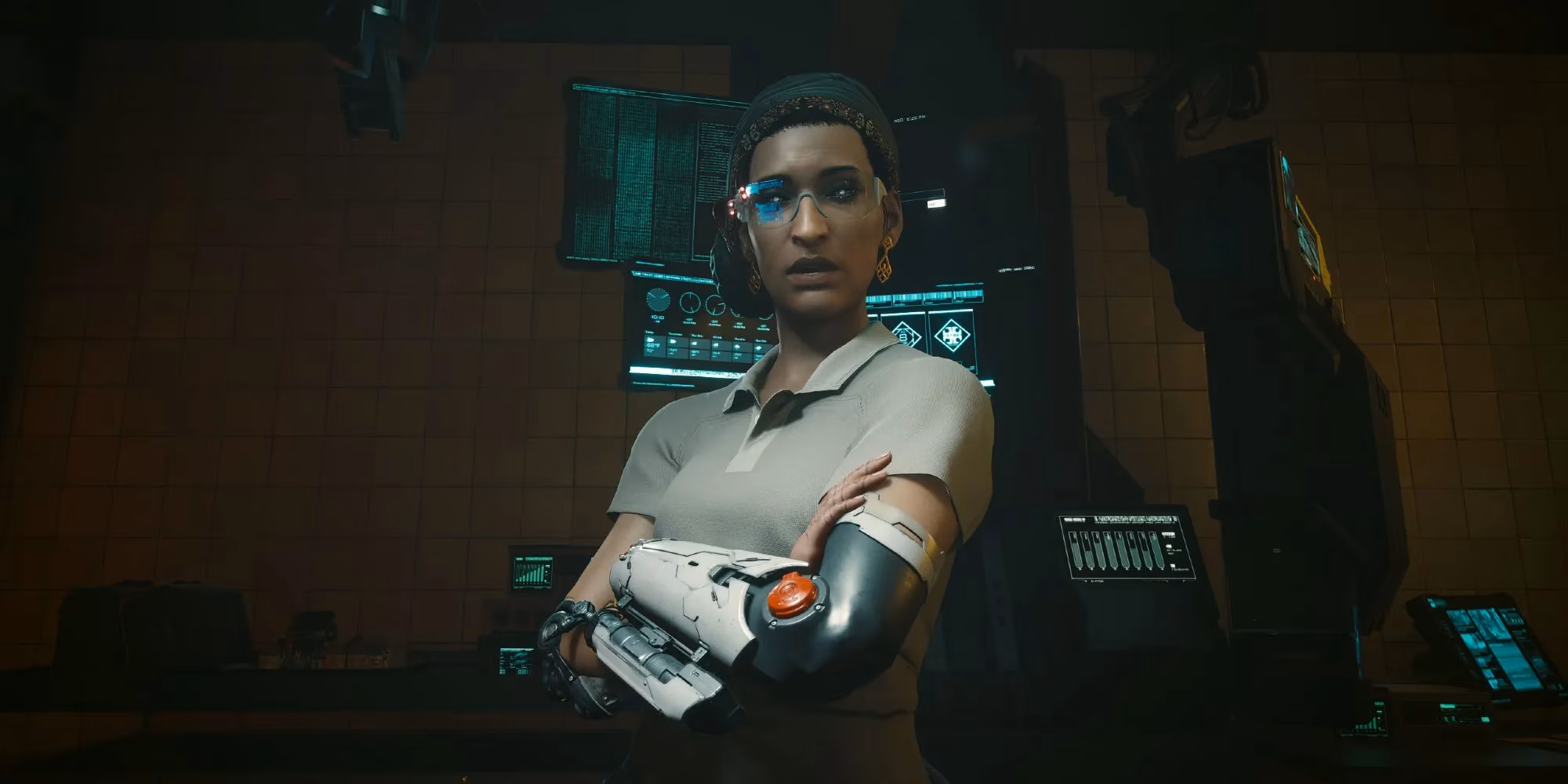 navigating-birds-with-broken-wings-in-cyberpunk-2077-image-1